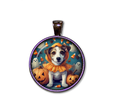Halloween Jack Russell in Costume