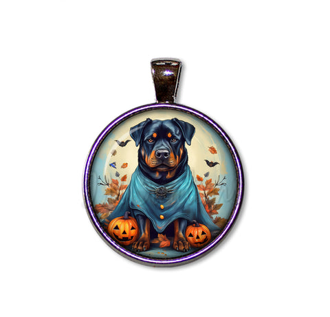 Halloween Rottweiler Dog in Costume