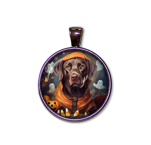 Halloween Chocolate Labrador in Costume