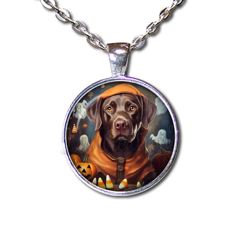 Halloween Chocolate Labrador in Costume