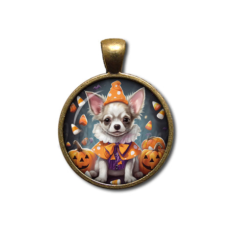 Halloween Chihuahua Dog in Costume