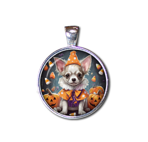 Halloween Chihuahua Dog in Costume