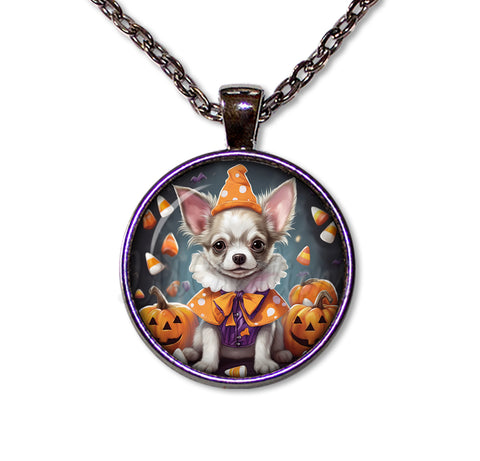 Halloween Chihuahua Dog in Costume