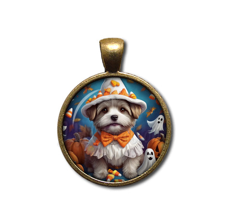 Halloween Cute Terrier Pup in Costume