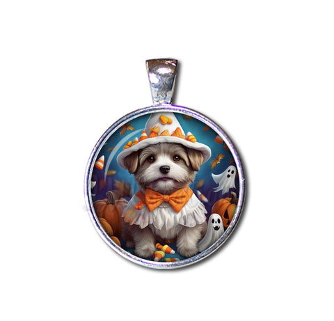 Halloween Cute Terrier Pup in Costume