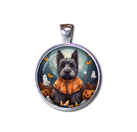 Halloween Scottish Terrier in Costume