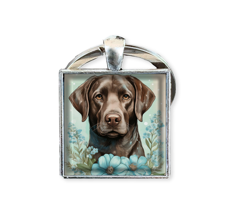 Adorable Chocolate Lab