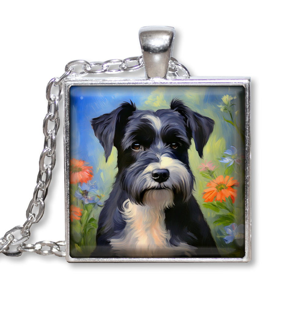 Sweet Schnauzer Dog