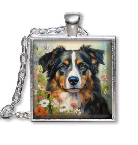 Adorable Tri-Colored Australian Shepherd