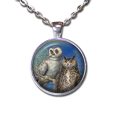 Couple of Owls Perched