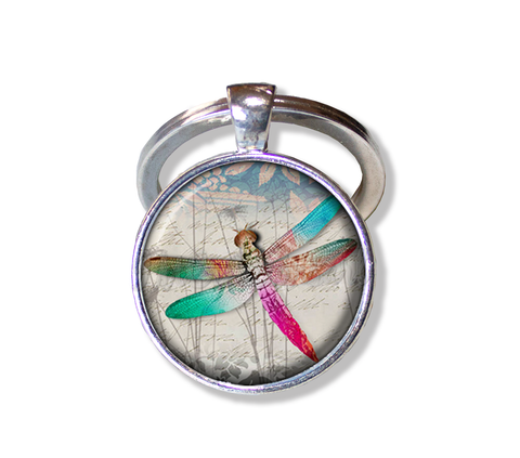 Colorful Dragonfly