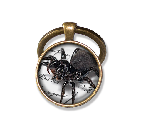 Creepy Crawler Spider