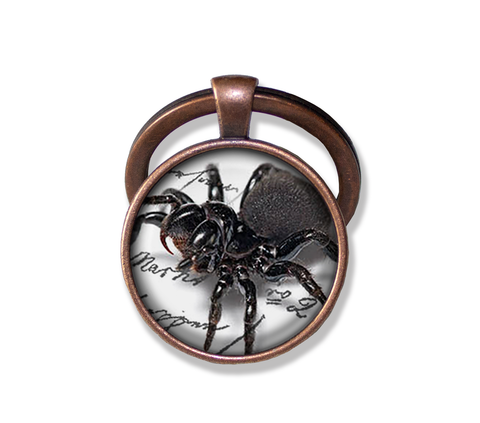 Creepy Crawler Spider