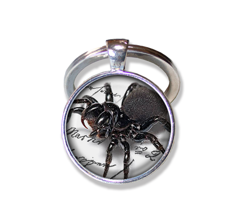 Creepy Crawler Spider