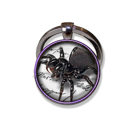 Creepy Crawler Spider