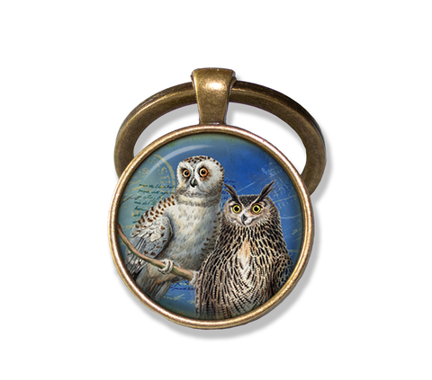 Couple of Owls Perched