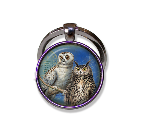 Couple of Owls Perched