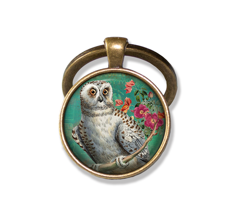 Perched Barn Owl
