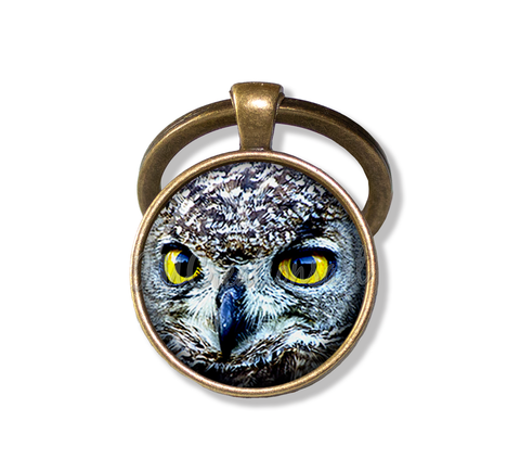 Looking Owl
