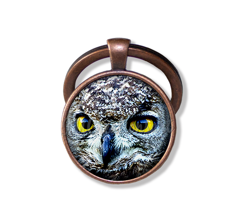 Looking Owl