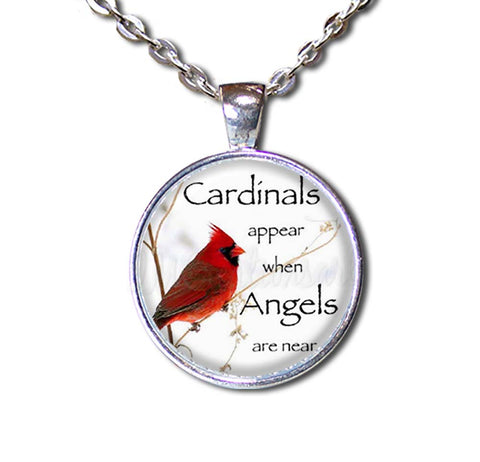 Cardinals Appear Angels are Near